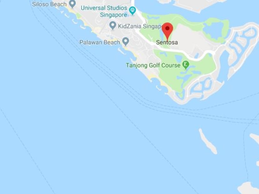 A search and rescue operation is underway for a Singaporean commercial diver who has gone missing since Saturday (May 5) in the waters off Sentosa.