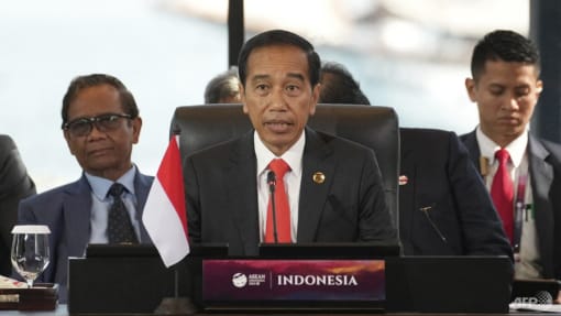 Indonesian President Joko Widodo to deliver address at Temasek sustainability event in Singapore