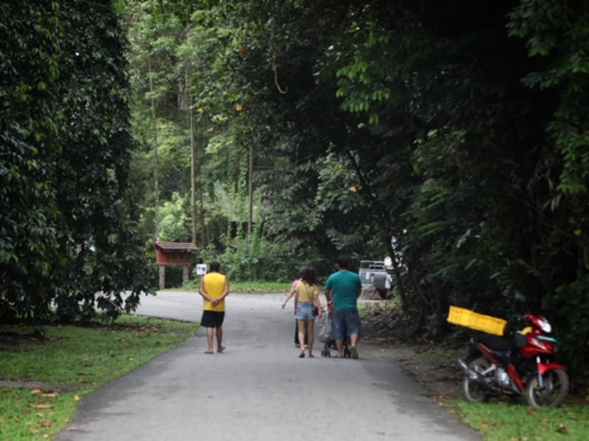File photo of visitors strolling in Pulau Ubin. Minister for Social and Family Development Desmond Lee said Singapore has not received any proposals from Malaysia to build a third link connecting east Johor to the island. File photo of visitors strolling in Pulau Ubin. Minister for Social and Family Development Desmond Lee said Singapore has not received any proposals from Malaysia to build a third link connecting east Johor to the island.