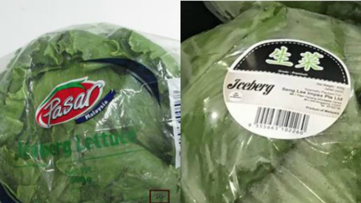 Iceberg lettuce from Malaysia sold at NTUC FairPrice and Sheng Siong