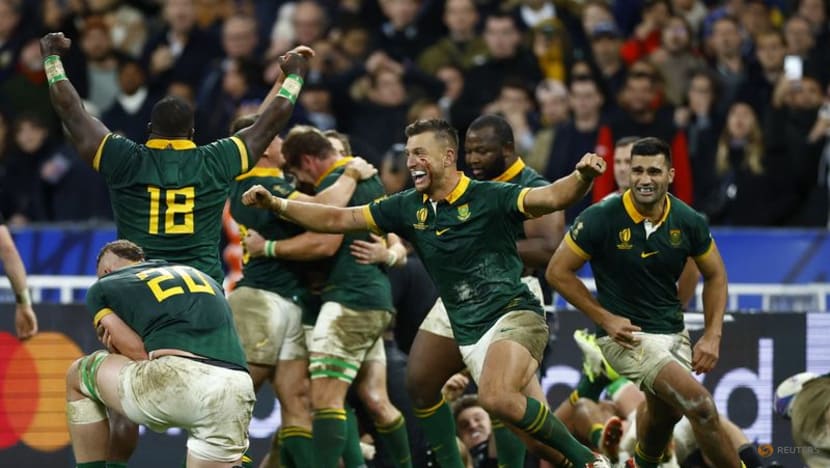Springbok belief and physicality make for world beating mix 