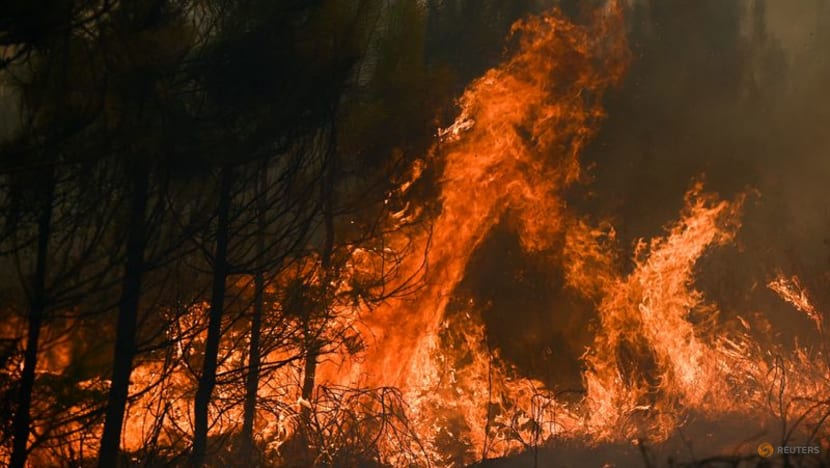 Wildfires rage in southwestern France amid new heatwave Wildfires rage in southwestern France amid new heatwave
