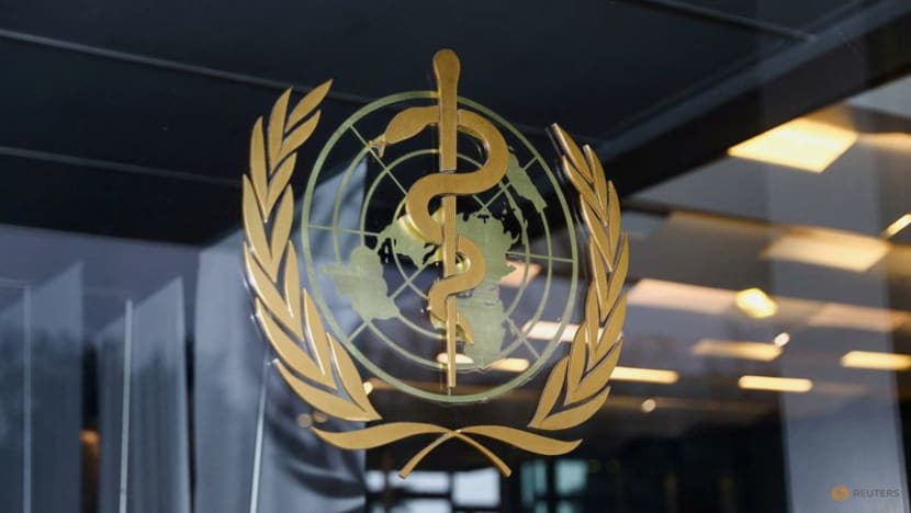 Monkeypox can be contained if we act now, WHO says Monkeypox can be contained if we act now, WHO says
