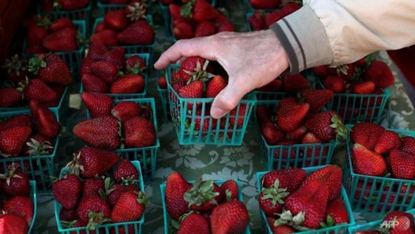 Insiden kedua jarum ditemui dalam strawberi di New Zealand