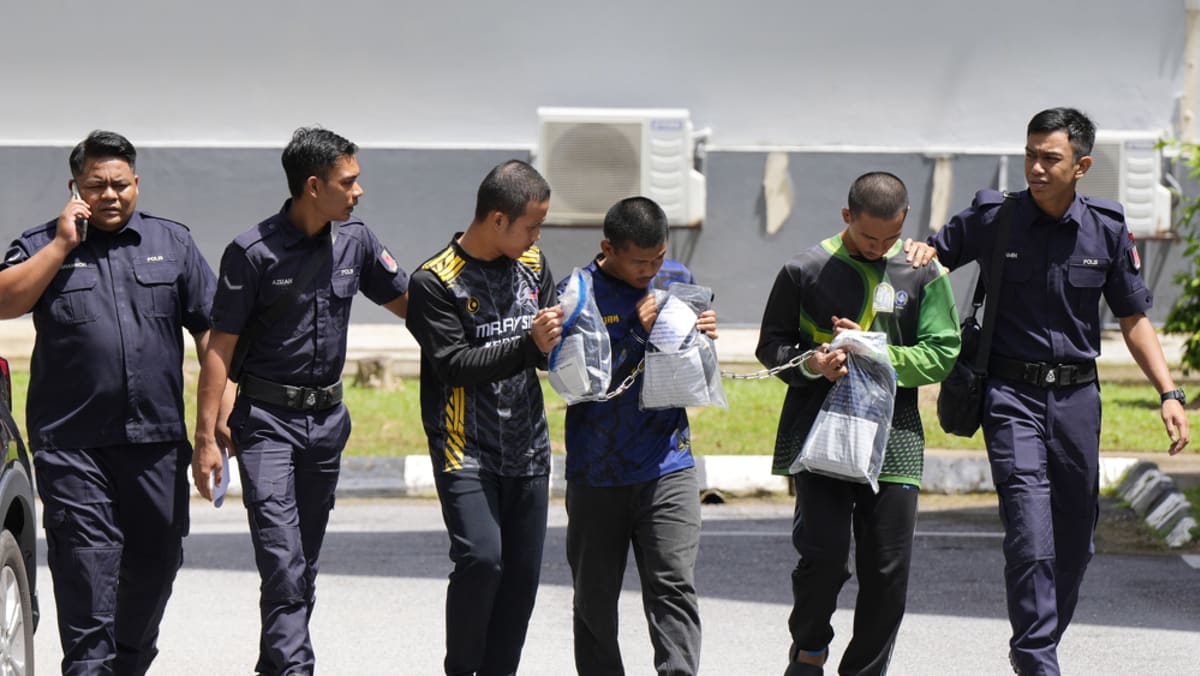 马来西亚在虐童案调查中逮捕了 155 名嫌疑人，在马六甲救出了 19 名未成年人