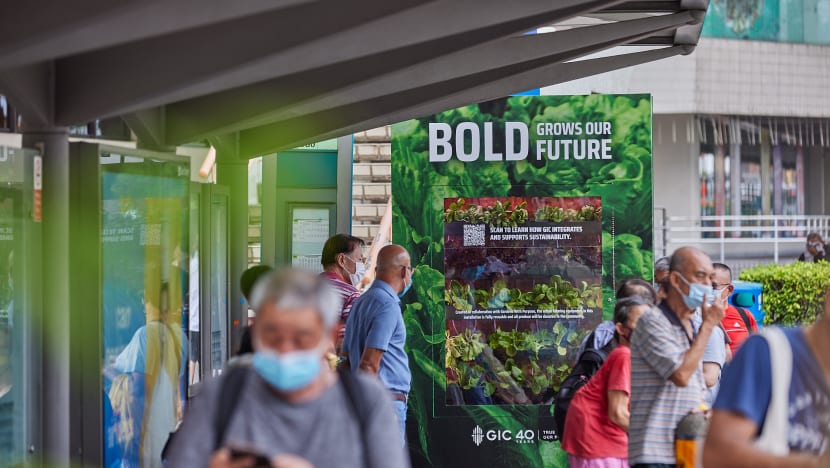 Seven bus stops transformed into urban farms; all vegetables to be donated to local charity kitchen