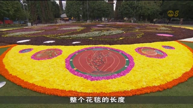 滨海湾花园擎天树丛草坪展出巨型花毯