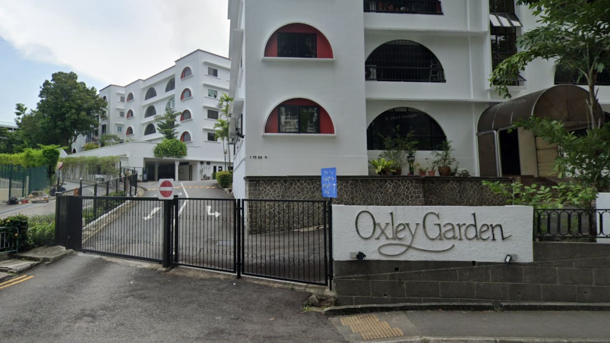 Oxley Garden relaunched for en bloc sale at reserve price of S$200 million - CNA