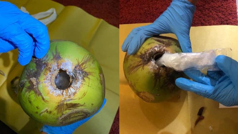 3 arrested, drugs worth more than S$66,000 seized including ketamine hidden in coconut 3 arrested, drugs worth more than S$66,000 seized including ketamine hidden in coconut