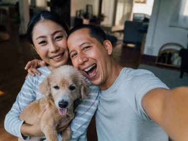 Fur parents’ questions answered: Are you overfeeding your pet? When should you take it to a vet?