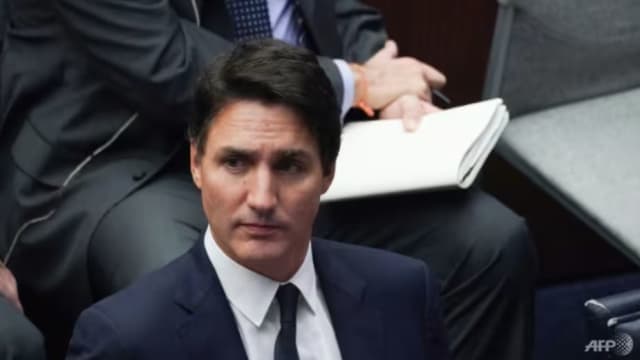加拿大总理特鲁多 为国会表扬纳粹老兵一事道歉