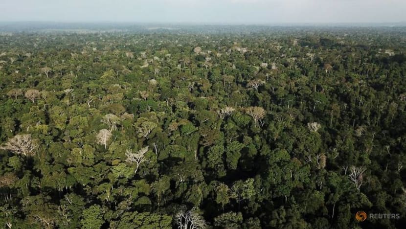 HSBC teams up with Pollination for 'natural capital' venture HSBC teams up with Pollination for 'natural capital' venture