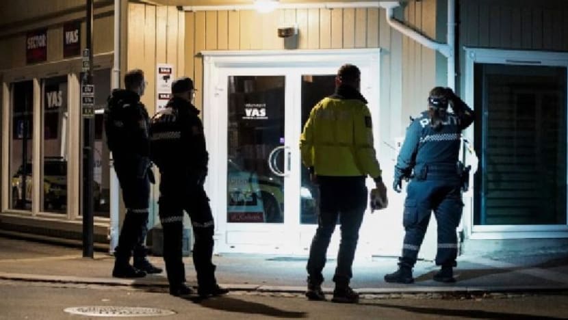 Lima maut dipanah di Norway, lelaki ditangkap
