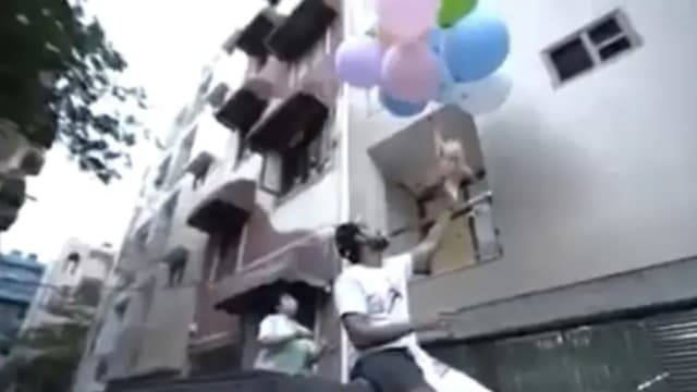 氢气球绑爱犬让它“飞”　印度网红涉虐待动物被捕