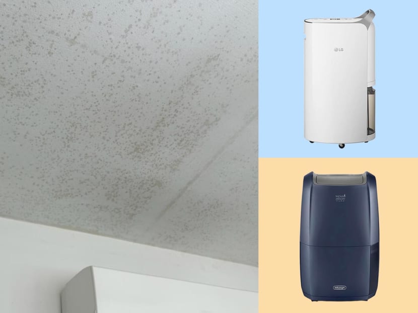 Best dehumidifiers to buy to prevent mould growth at home — so you don’t have to spend S2,000