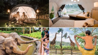 You Can Now Staycay At S'pore Zoo In Air-Con Tents  — Includes Meals, Guided Tours & Waking Up Next To A Reservoir