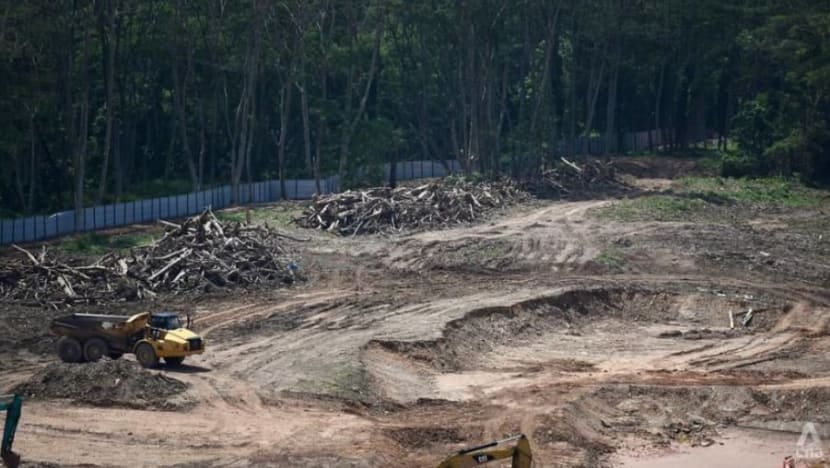 Pegawai JTC Corporation, mantan penyelia mengaku bersalah sebabkan hutan Kranji dibersihkan