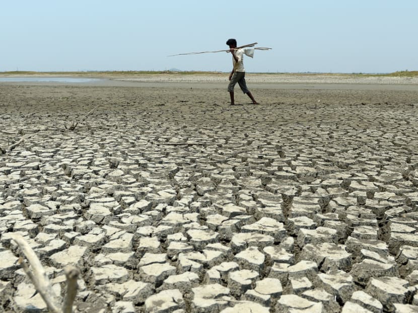 An Indian man walking over the parched bed of a reservoir on the outskirts of Chennai on May 17, 2017. Photo: AFP