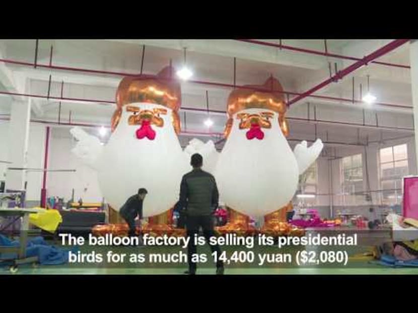China factory hatches giant Trump chickens