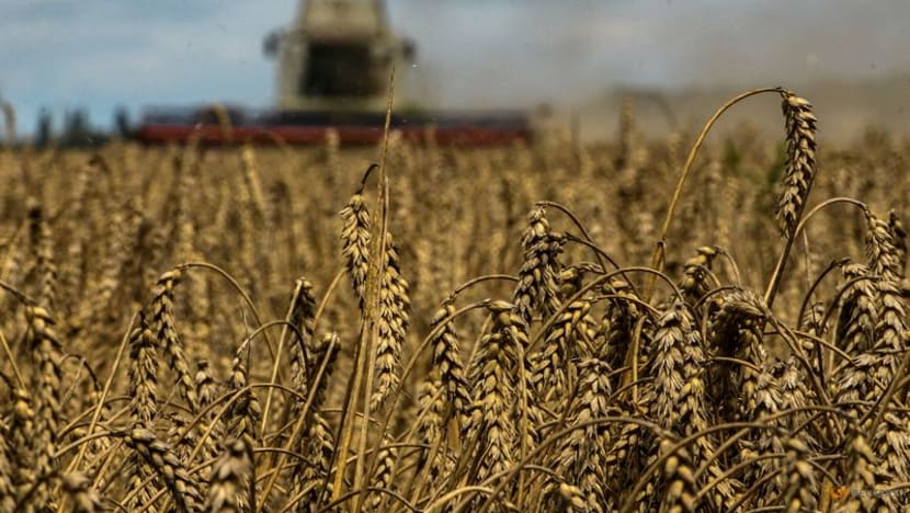 Ukraine's key food exports have fallen by almost half since Russian war Ukraine's key food exports have fallen by almost half since Russian war