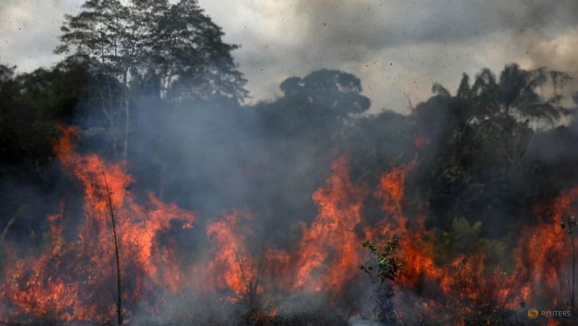 Amazon fires surge anew in Brazil as cleared forest burns