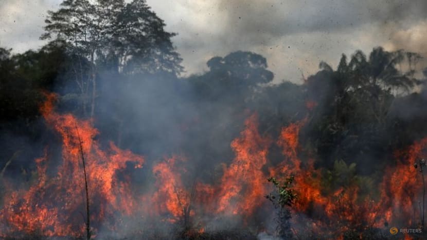 Amazon fires surge anew in Brazil as cleared forest burns Amazon fires surge anew in Brazil as cleared forest burns