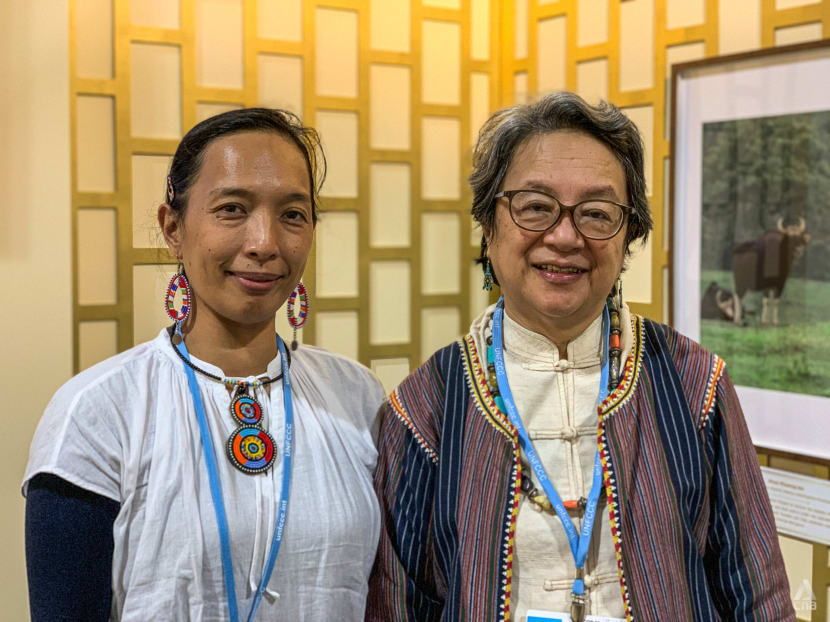 From Philippines to COP26: Mother and daughter unite to fight for Indigenous people’s climate change rights