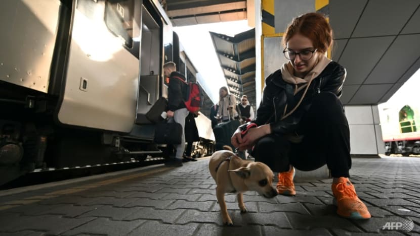 Getting used to war, Ukraine refugees flood back to Kyiv Getting used to war, Ukraine refugees flood back to Kyiv