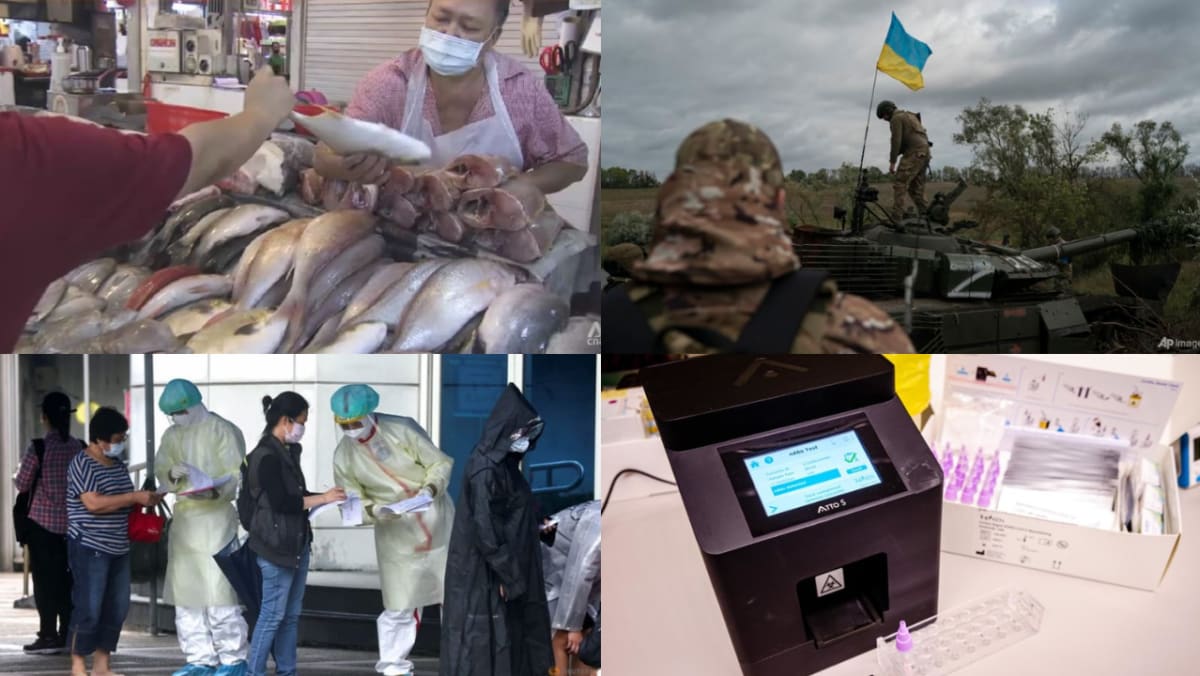 Roundup Harian, 22 Sep: Harga ikan segar Singapura akan terus naik;  analis mengatakan Putin sedang mempersiapkan perang panjang di Ukraina;  Taiwan mengincar akhir dari karantina COVID-19