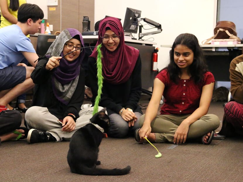 NUS students find a pawsome way to destress NUS students find a pawsome way to destress