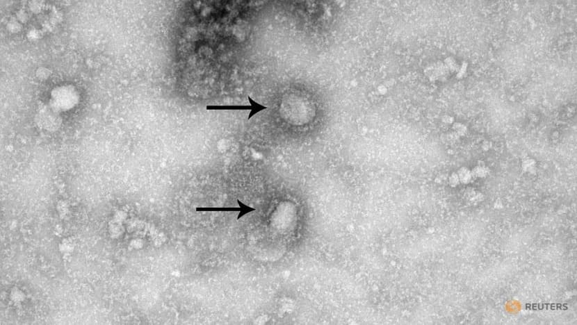 Russia says it is working on Wuhan virus vaccine together with China Russia says it is working on Wuhan virus vaccine together with China