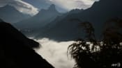 Climate tipping points in Amazon, Tibet 'linked': Scientists