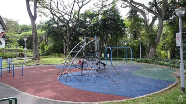 Adik-beradik 11 tahun ditemui mati dekat taman permainan Upper Bukit Timah