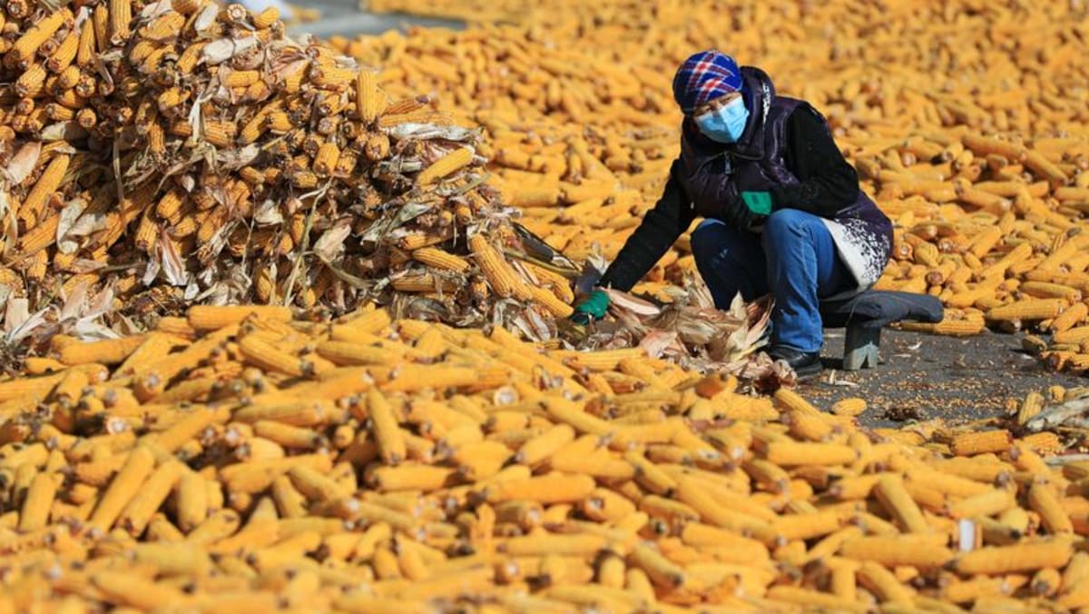 Все больше экспортеров казахстанской сельхозпродукции жалуются на проблемы с транзитом в Россию