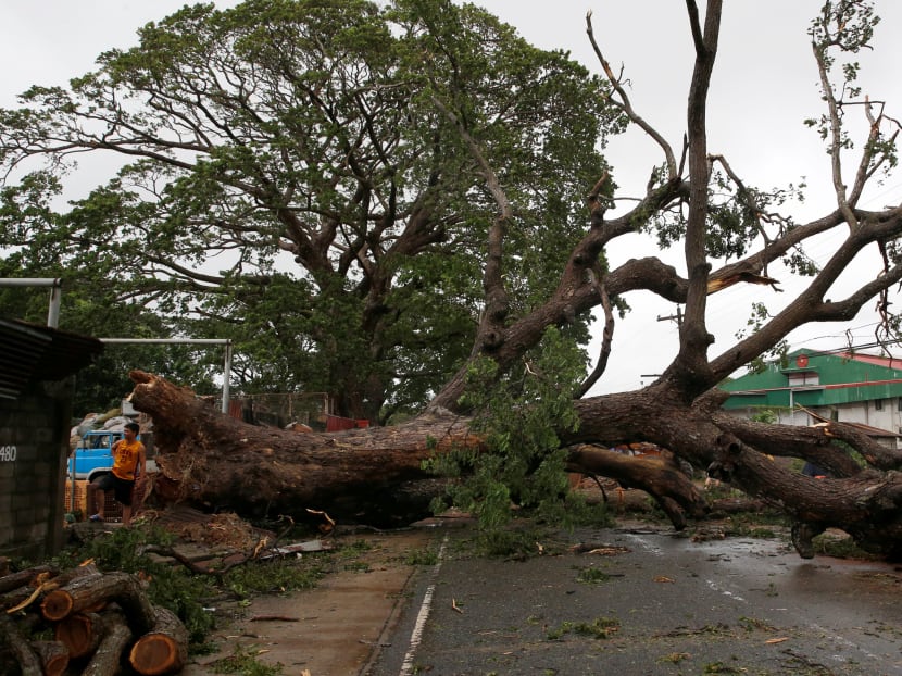 Gallery: Typhoon Haima lashes the Philippines