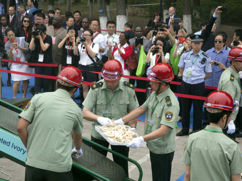 China destroys more than 660kg of smuggled ivory