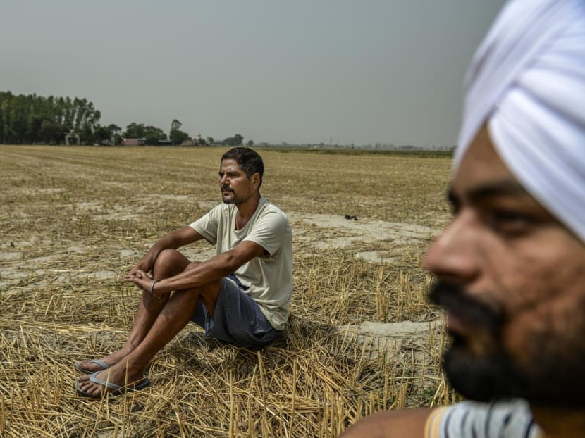 <p>Mr Ranjit Singh, a farmer, in Fatehgarh-Sahib, India, on May 31, 2022. Hundreds of millions of humanity’s most vulnerable live in South Asia, where rising temperatures make it more difficult to address poverty, food security and health challenges.</p>

