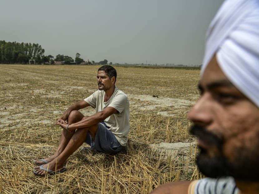 <p>Mr Ranjit Singh, a farmer, in Fatehgarh-Sahib, India, on May 31, 2022. Hundreds of millions of humanity’s most vulnerable live in South Asia, where rising temperatures make it more difficult to address poverty, food security and health challenges.</p>
<p>Mr Ranjit Singh, a farmer, in Fatehgarh-Sahib, India, on May 31, 2022. Hundreds of millions of humanity’s most vulnerable live in South Asia, where rising temperatures make it more difficult to address poverty, food security and health challenges.</p>