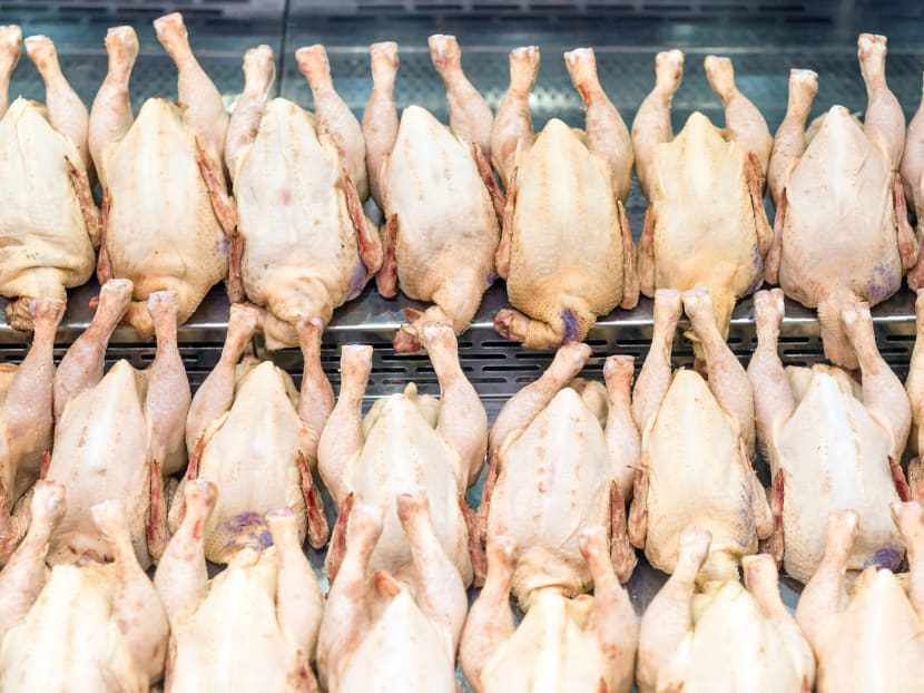 Operations manager gets 16 months’ jail for stealing more than 10,000 fresh and frozen chickens from employer