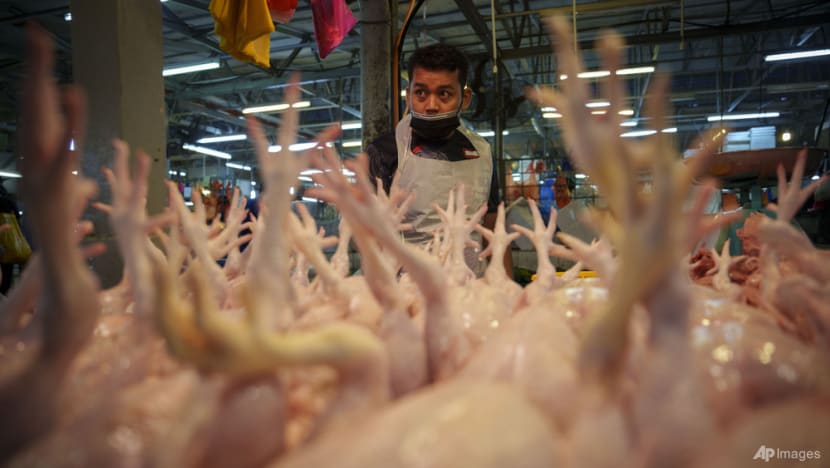 Malaysia to scrap ceiling price controls for chicken and eggs from Jul 1