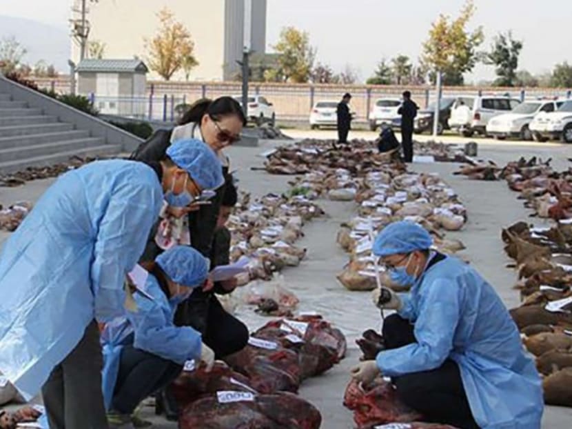 The carcasses seized in Shaanxi province. Photo: Handout via South China Morning Post