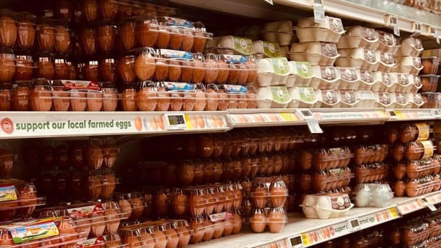 职总平价超市：鸡蛋供应量仍充足