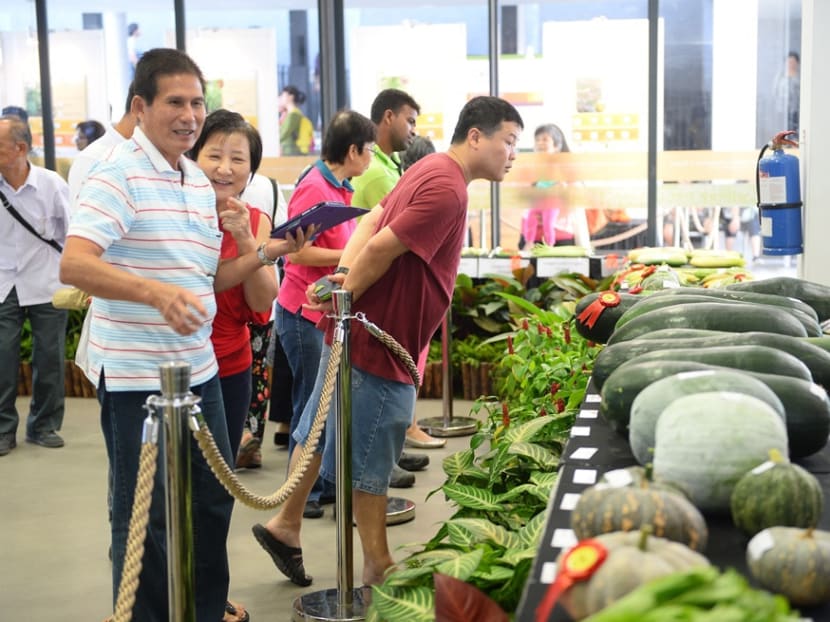 Visitors take in the produce on display at the inaugural Community Garden Festival. Photo: NParks
