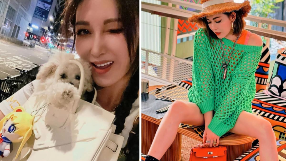 HK Star Rain Li Uses Hermès Birkin Bag As Dog Carrier - 8days