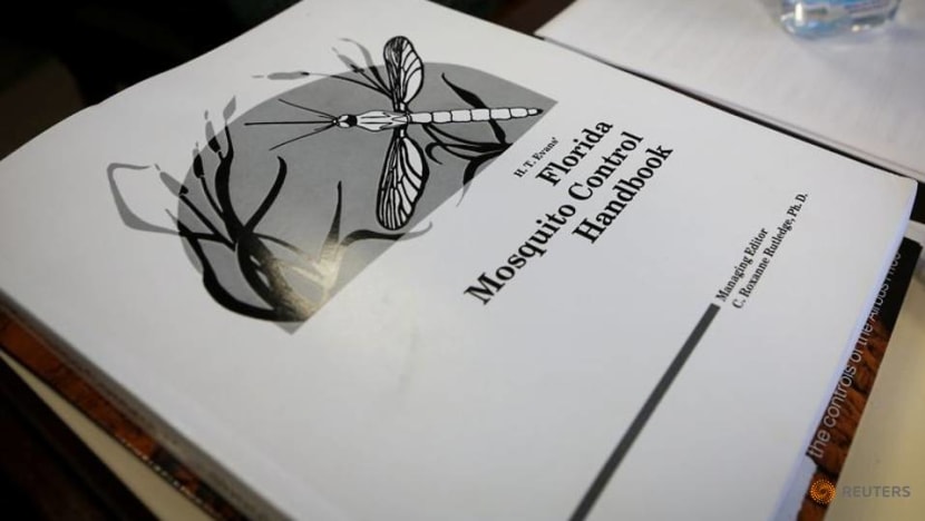 Florida releases genetically modified mosquitoes in hopes to reduce spread of disease Florida releases genetically modified mosquitoes in hopes to reduce spread of disease