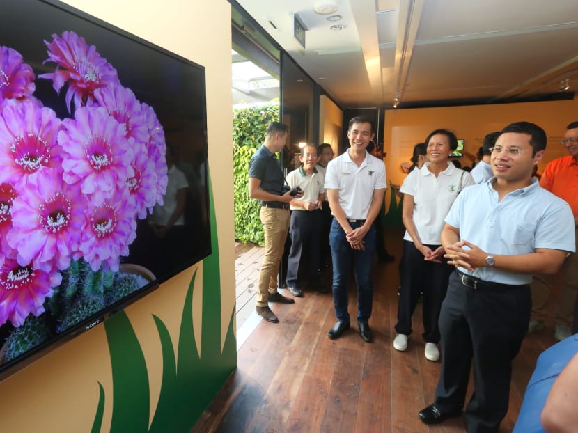 More enhancements to National Orchid Garden underway