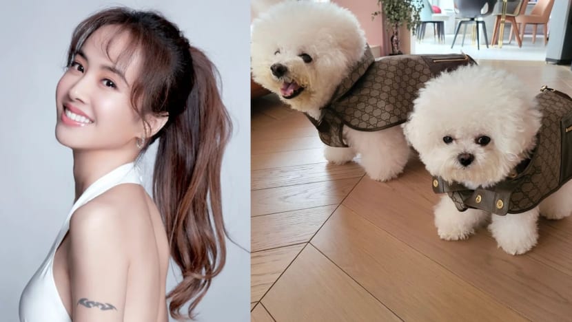 Jolin Tsai Dresses Her Dogs In Gucci Outfits That Cost More Than Regular Human Clothes