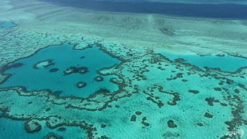 Dana tambahan bagi lindungi Terumbu Karang Besar Australia dikritik