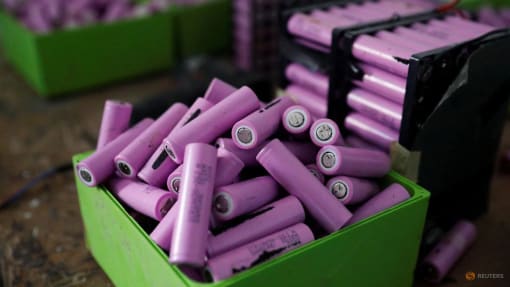 Pilot recycling plant uses fruit peels to break down metal waste in lithium batteries