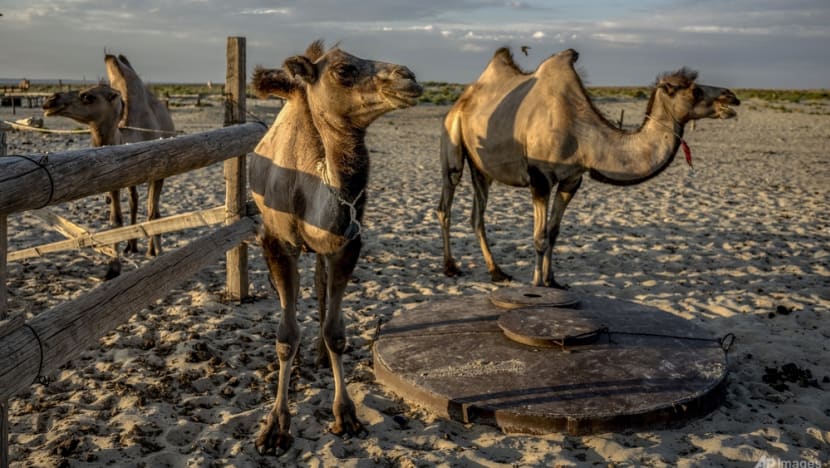 aral sea demise climate change 47590